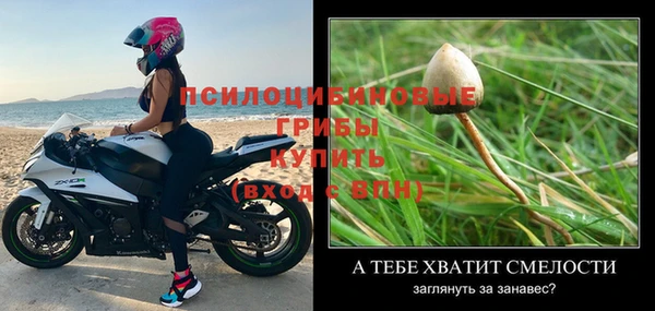 не бодяженный Верхний Тагил